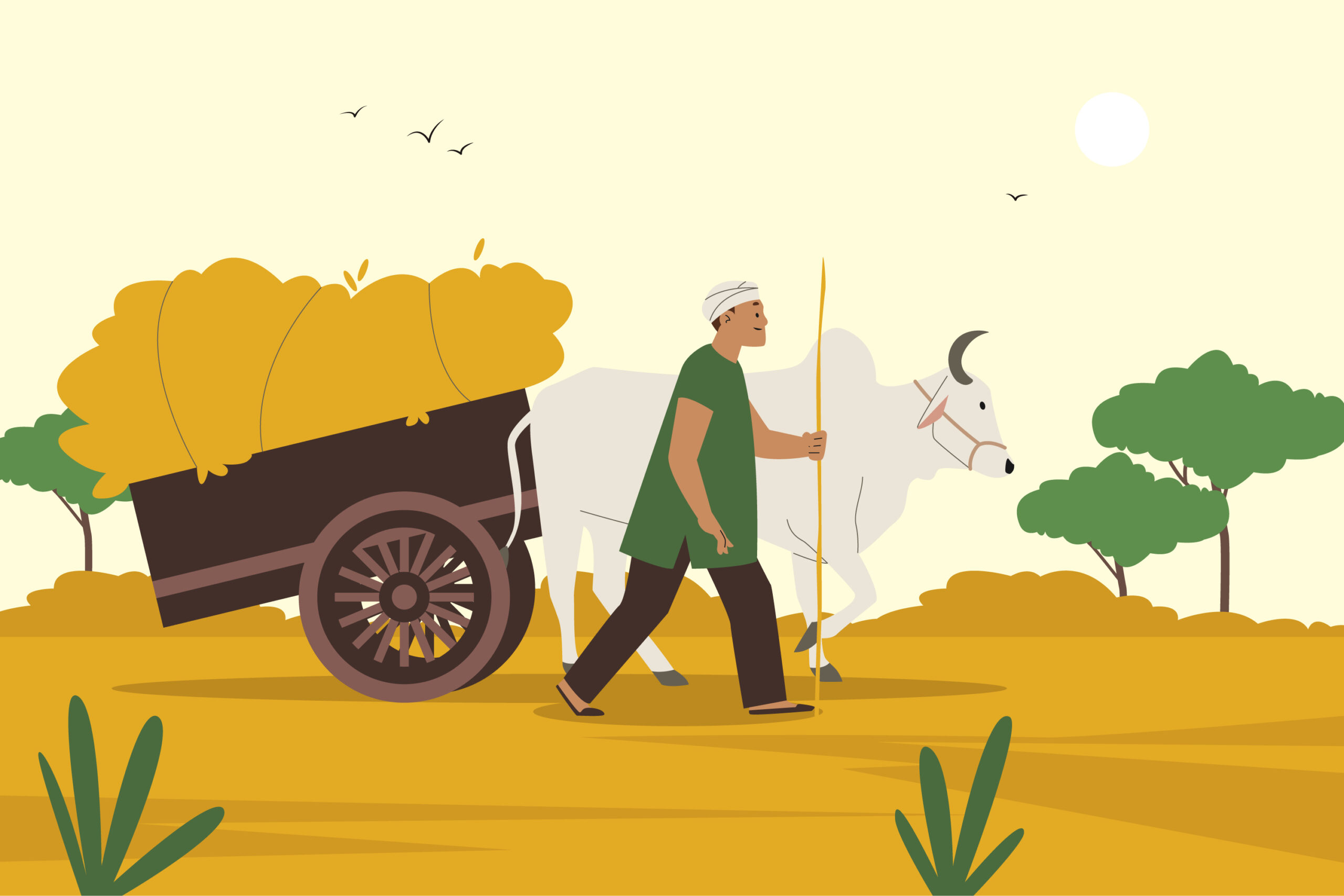 AGREEMENT OF SALE ‘SHEER PIECE OF FRAUD’ – SUPREME COURT SETS ASIDE DECREE FOR SPECIFIC PERFORMANCE